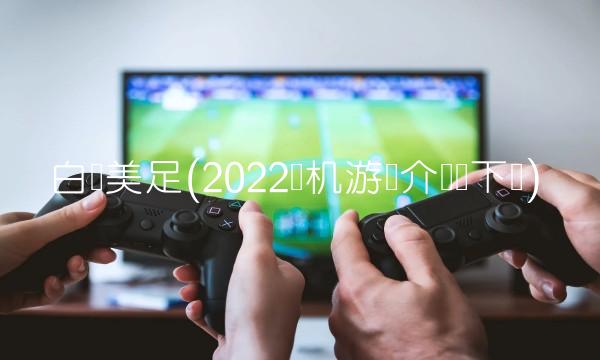 白丝美足(2022单机游戏介绍无下载)